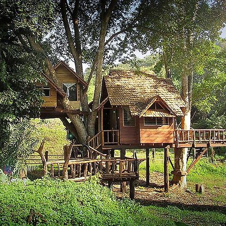 Rabeang Pasak Treehouse Resort Τσιάνγκ Μάι Εξωτερικό φωτογραφία