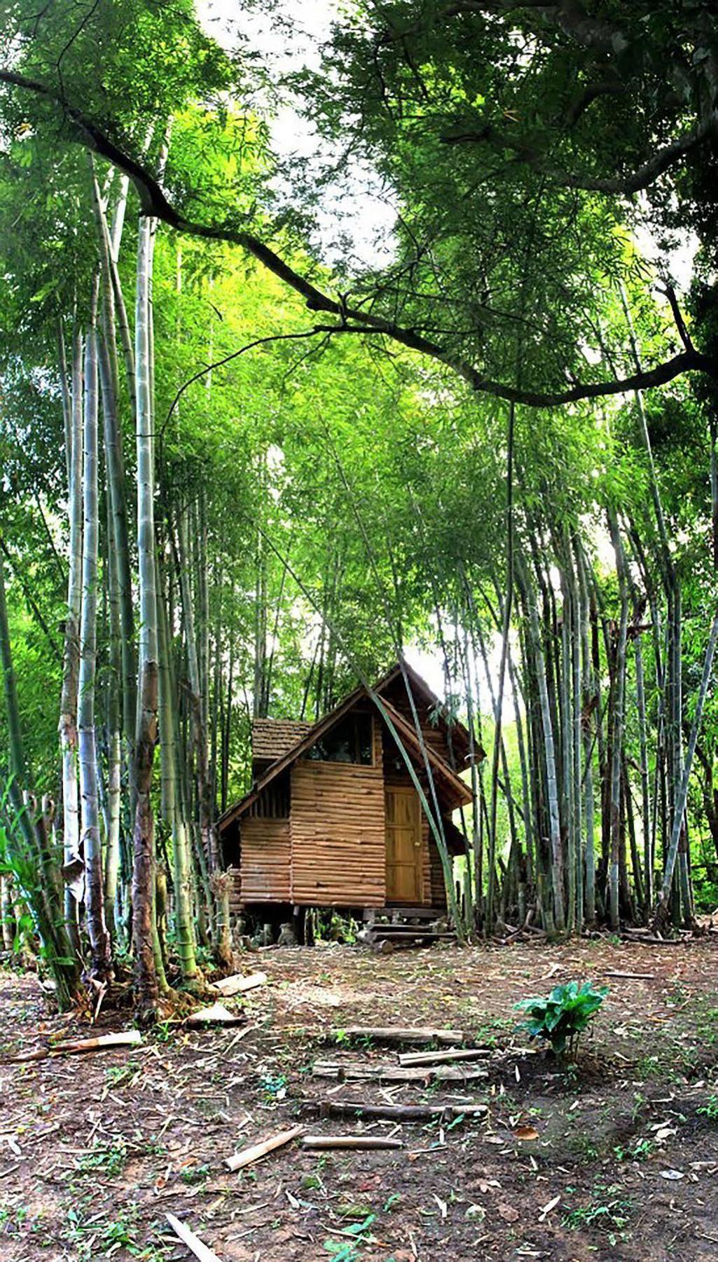 Rabeang Pasak Treehouse Resort Τσιάνγκ Μάι Εξωτερικό φωτογραφία