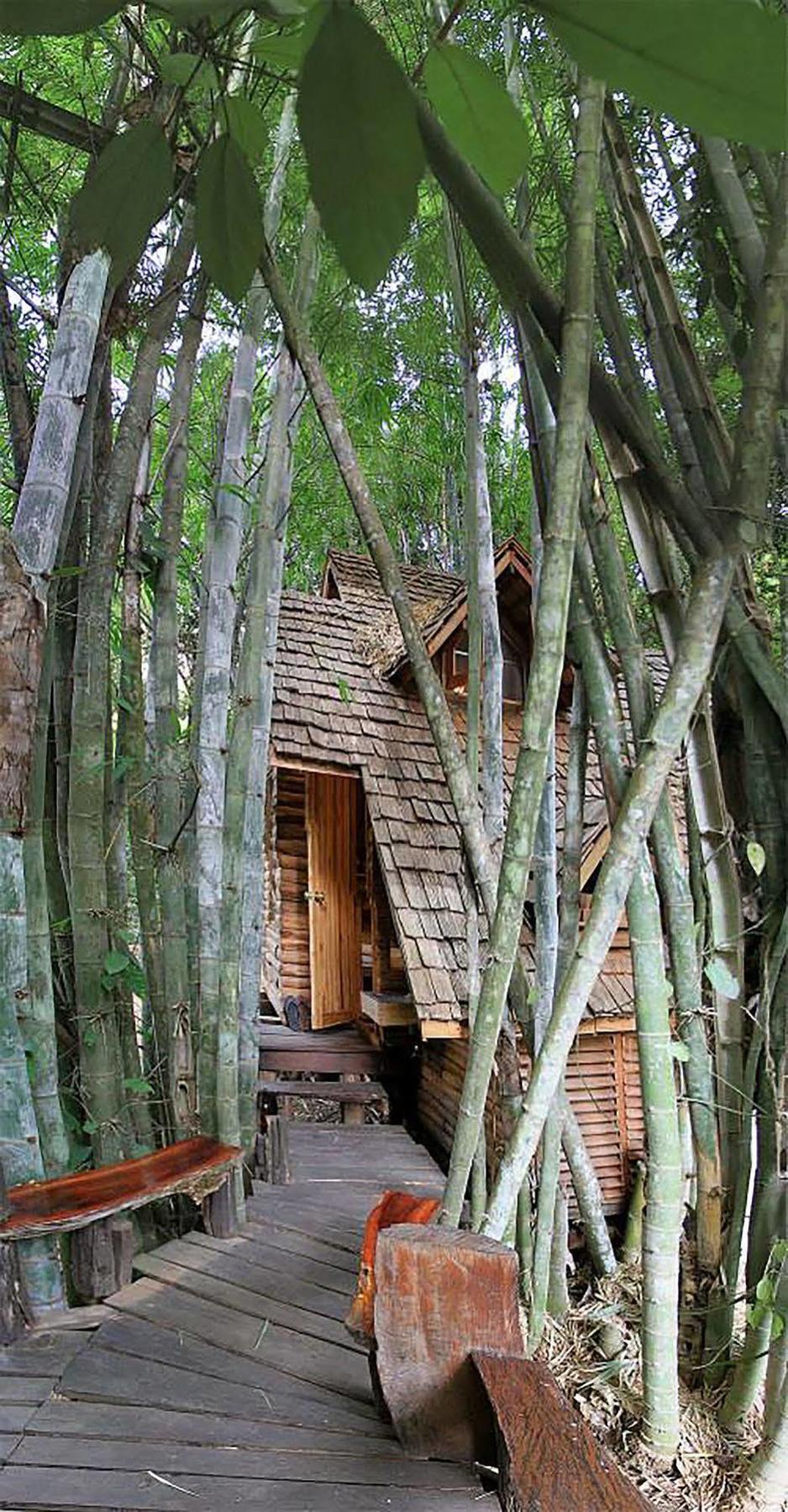 Rabeang Pasak Treehouse Resort Τσιάνγκ Μάι Εξωτερικό φωτογραφία